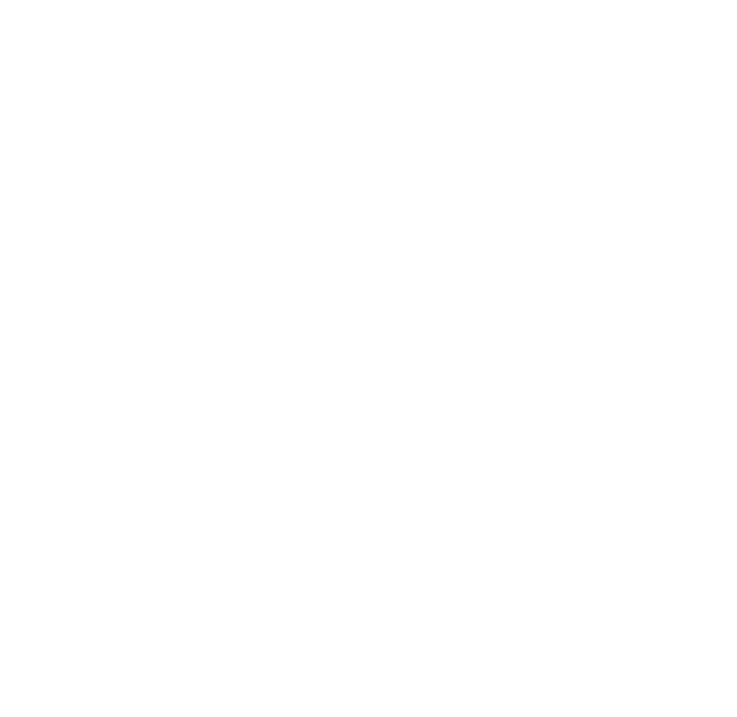 HG IT Ltd